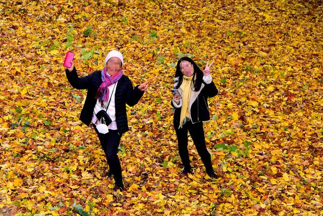 Auch viele Spaziergänger erfreuten sich an der bunten Herbstpracht.