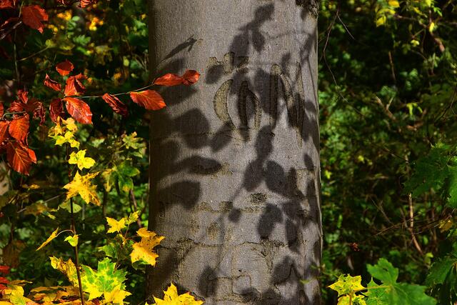 Herbst im Hinüberschen Garten