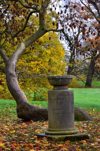 Herbst im Hinüberschen Garten