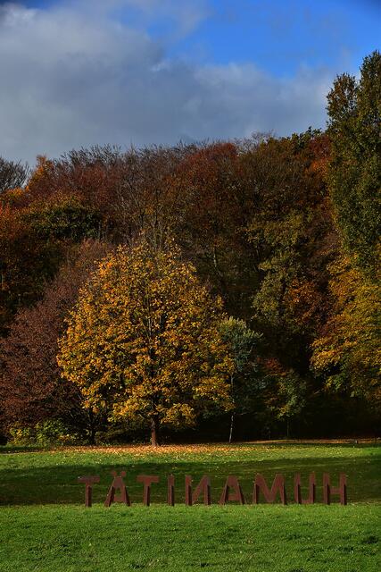 Herbst im Hinüberschen Garten