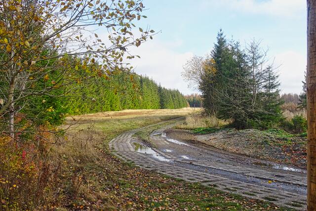 Kolonnenweg am Ring der Erinnerung