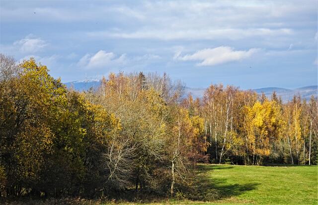 Herbststimmung an der Sorger Straße, links im Hintergrund der Brocken