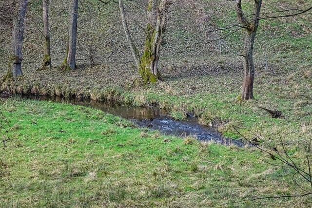 der Ochsenbach