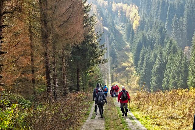 der Kolonnenweg führt durch das Ebersbachtal