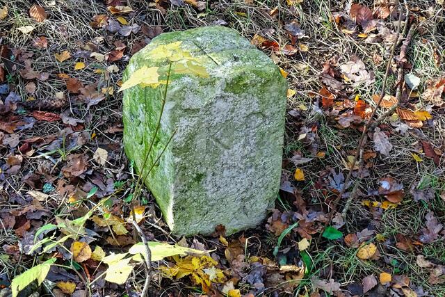 ein Grenzstein in Hohegeiß aus dem 19. Jahrhundert,                  KP = Königreich Preußen