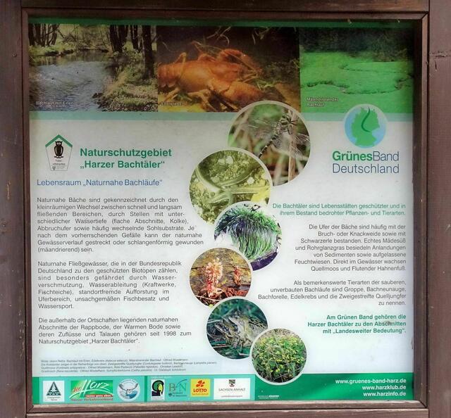 Informationstafel über das Grüne Band
