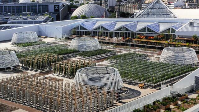 Der Größte Dachgarten der Welt  (Paris)