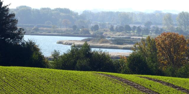 Liebliche Landschaft in der Nähe des Haddebyer Noor