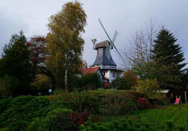 Mühle Anna in Rieseby