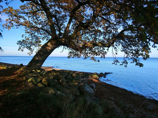 Ostsee: Geltinger Bucht