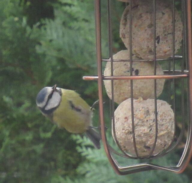 ... am Vormittag ...