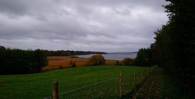 Blick auf die Schlei. Die Felder werden von langen "Knicks" eingefasst. Dichte Baum- bzw. Strauchreihen schützen die Felder vor Wind und Erosion.