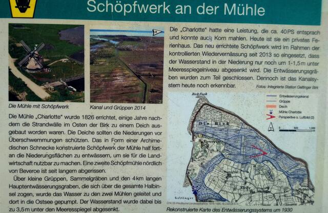 Alles über Charlotte