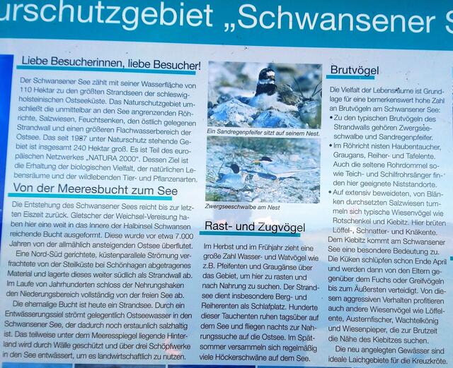 Infotafel in der Umgebung von Schönhagen: Der Schwansener See ist Naturschutzgebiet, das nicht betreten werden darf. Deshalb war kein Foto möglich.