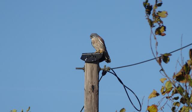 Noch einmal woanders hingeschaut und dann...
