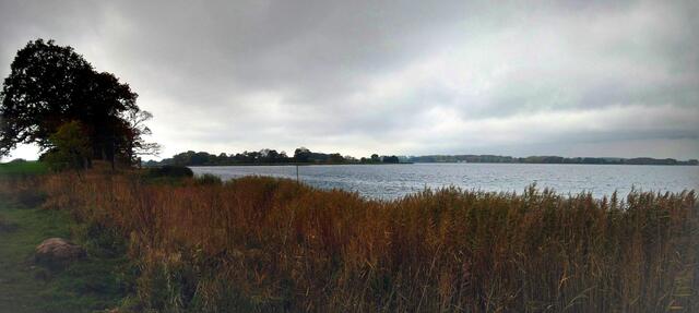 Auch bei trübem Wetter ist die Landschaft schön. Die Schlei in der Nähe von Rieseby.