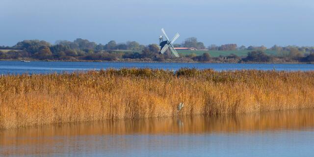 Blick von der Geltinger Bucht herüber zur Geltinger Birk
