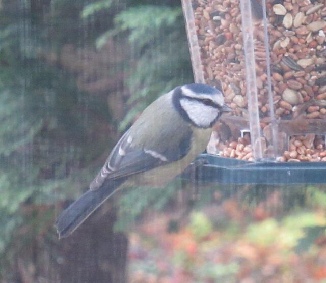 ... und fotografieren.