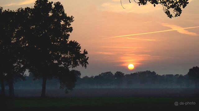 In dunkler Landschaft hebt sich leichter Boden-Nebel...