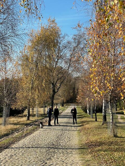 Spaziergang zum Wilseder Berg