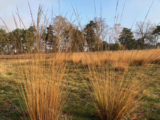 Schöne herbstliche Spaziergänge | Foto: Beate