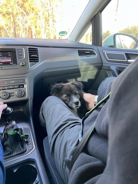 Momo musste überall mit! | Foto: Kerstin