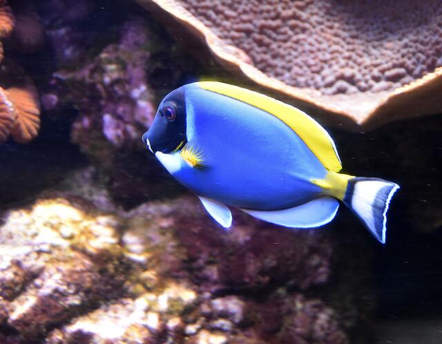 Glück gehabt: Er hielt lange genug still.