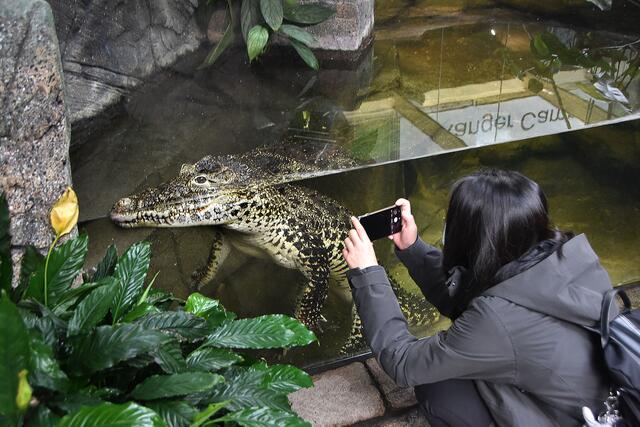 Erinnerungsfotos mit dem Handy gehören heute dazu.