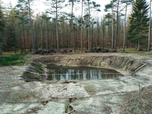 Der neu geschaffene Teich sechs Monate nach dem Ende der Arbeiten der Munitionsrestebeseitigungsfirma Stascheit.