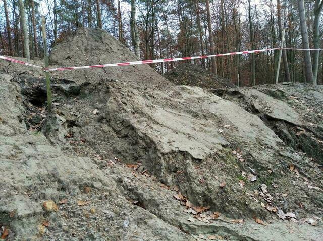 Spuren der Wassererosion am Gewässerrand des angedachten Domizils für den geschützten Kammmolch.