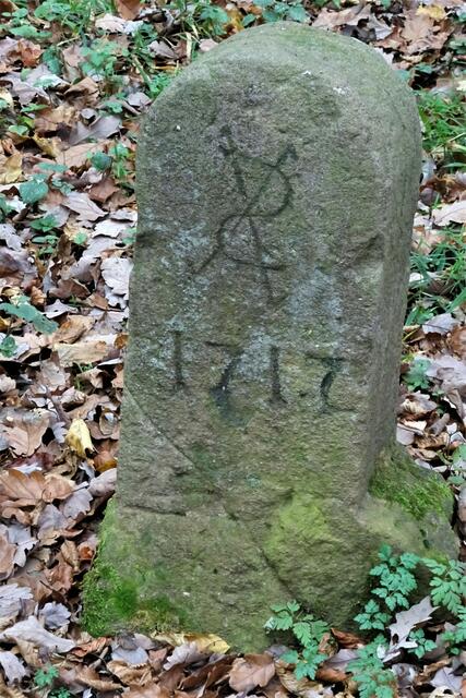 ein alter Grenzstein