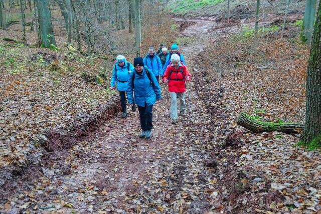 auf dem Weg zum Kalmusgrund