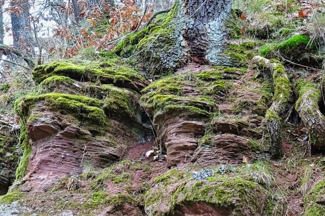 rotes Felsgestein in der Nähe der Grillenburg