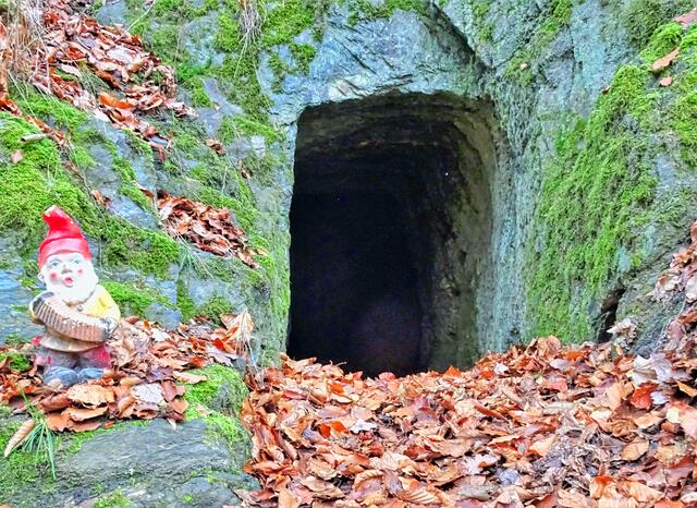 das Cuxloch ist ein etwa 3 m langer, in den Felsen gehauener, Gang. Kux bedeutet Anteil an einer Bergwerkgesellschaft. Vielleicht stammt daher der Name des seit dem 18. Jahrhundert bekannten Cuxloch.