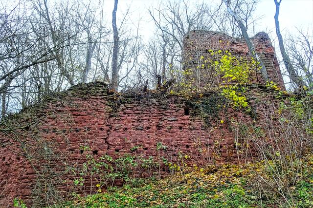 Burgruine Grillenburg
