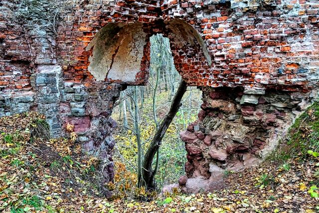 Burgruine Grillenburg.