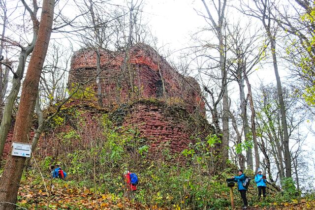 Grillenburg mit Stempelstelle der Harzer Wandernadel