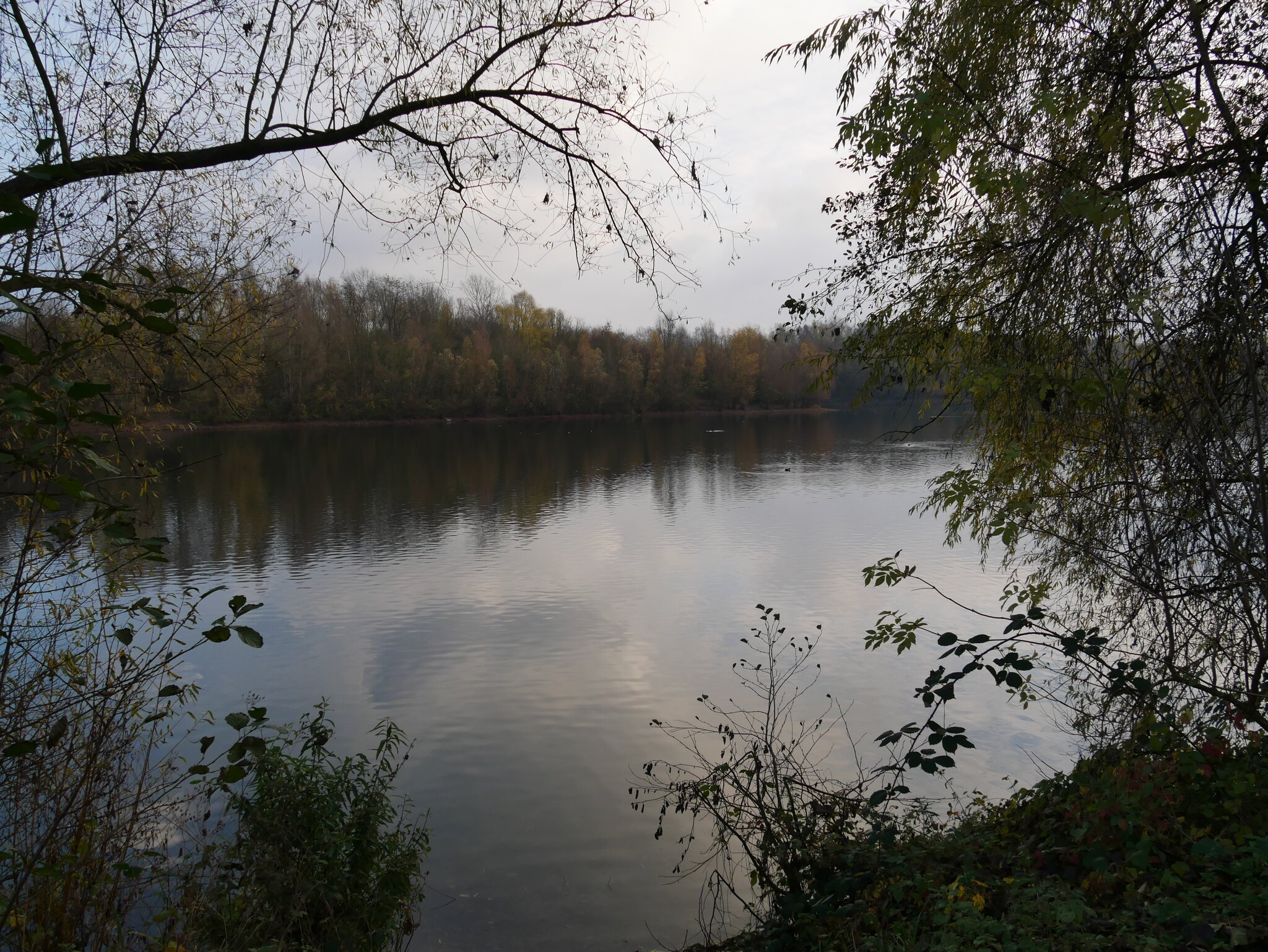 Am Uettelsheimer See Duisburg