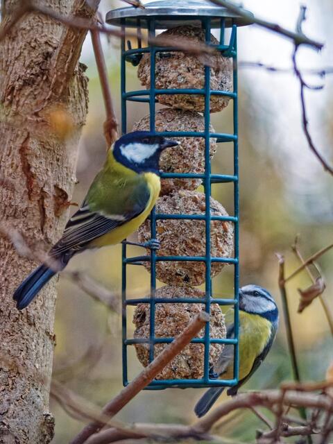 °°Also gut, unten lass ich ihn knabbern, aber hier oben ist alles Meins!°°