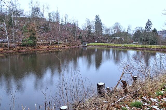 Fürstenteich