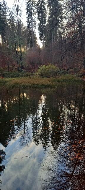 Blanke Teich Herbst 2021