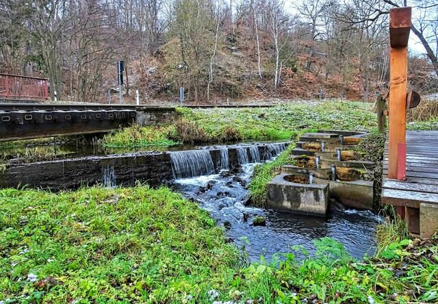 Uhlenbach , oben ist die L234, dann folgen die Gleise der Selketalbahn, Fischtreppe und  ganz unten befindet sich die Holzbrücke des Wanderweges über den Uhlenbach