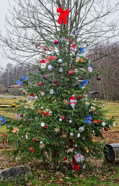 Weihnachtsbaum Parkplatz Silberhütte