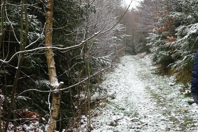 auf dem Weg zum Birnbaumteich