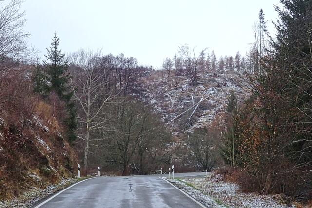 Landstraße von Silberhütte nach Strassberg. Auch hier sind die Waldschäden unübersehbar