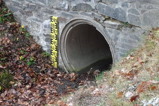 Abfluß Birnbaumteich Langes Tal