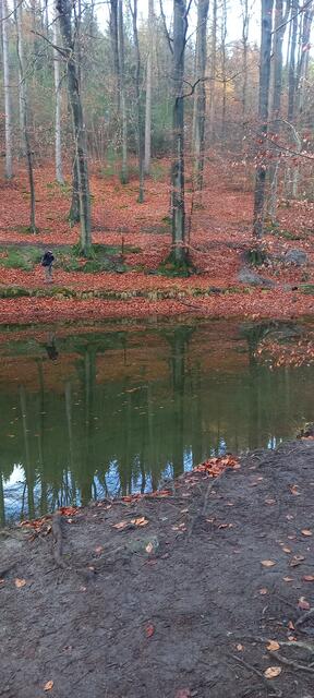 Blanke Teich 2021