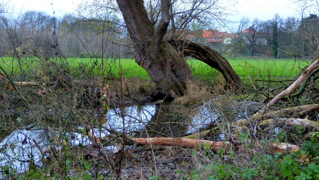 Stammsitz einer adeligen Familie