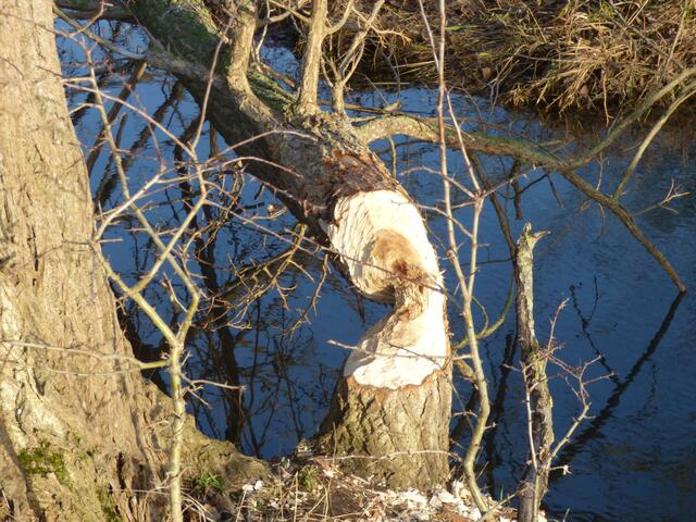 Nicht ganz symmetrisch