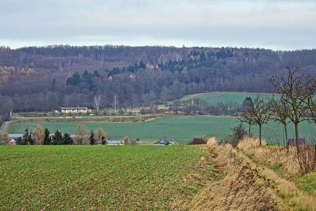 rechts im Bild der Europäische Wanderweg, der hinunter ins Schwenneckental führt. Der Sportplatz und einige Dächer von Pansfelde sind zu erkennen.